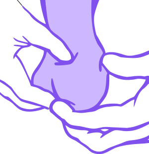 View of two hands performing a testicular cancer screening